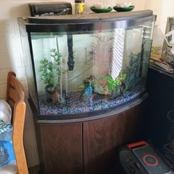 Fish Tank With Stand 55 Gallon