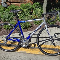 Almost New Entry-level Road Bike