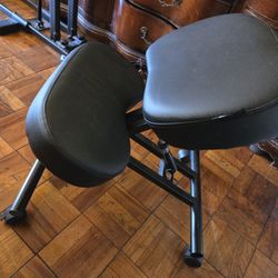 Ergonomic Chair/Stool 