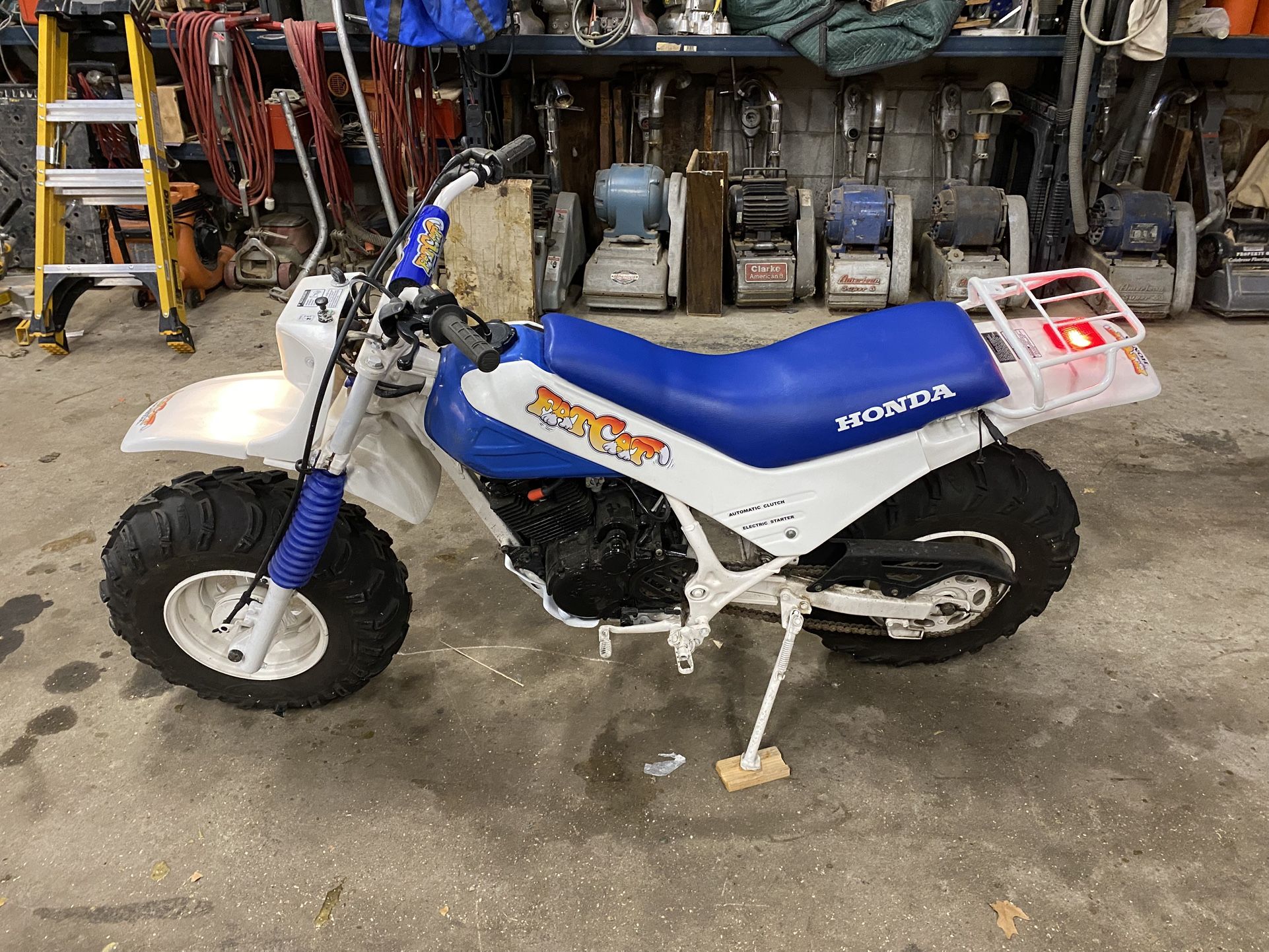 Honda Fatcat