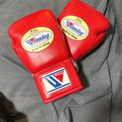 Winning Boxing Glove