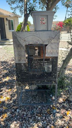 Haula para pericos