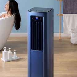 Edendirect 12000 BTU Wi-Fi Connected Air Conditioner with Heater
