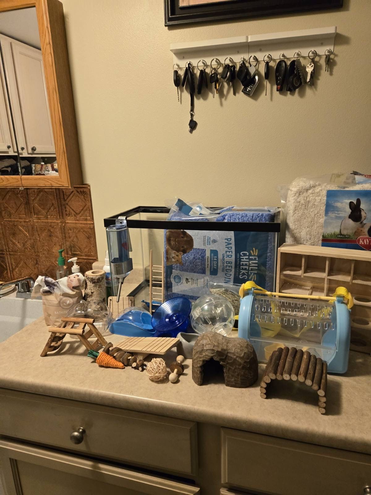 Hamster aquarium and all essentials+toys