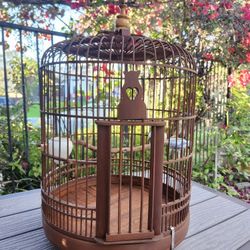 Bird Cage 