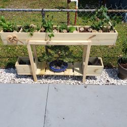 Elavated Planter