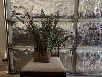 Eucalyptus & lights in wicker basket