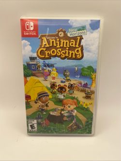 Nintendo Switch Game