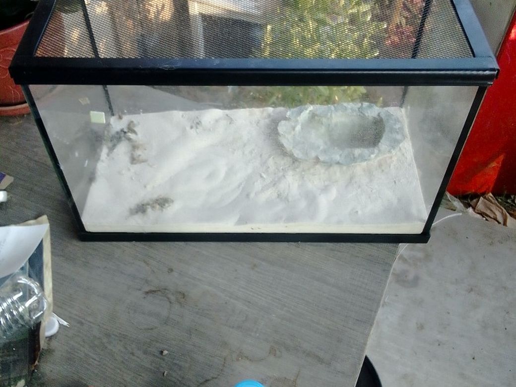 Reptile Tank