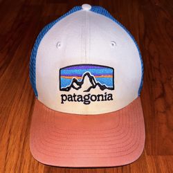Patagonia Fitz Roy Trout Trucker Hat