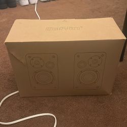 Saiyin Bluetooth Bookshelf Speakers