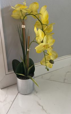 Fake Plant
