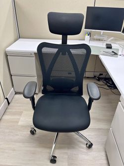 SIHOO M18 Ergonomic Mesh Office Chair — Adjustable Headrest & Lumbar (4 available)