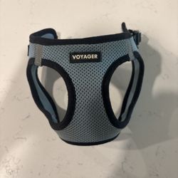 Voyager XS Dog Collar