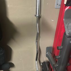 EZ Curl Bar And Olympic Bar
