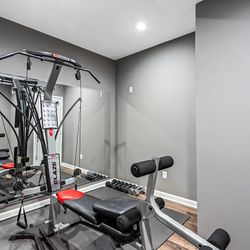 BowFlex Blaze Home Gym