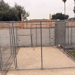 10 x 10 dog kennel