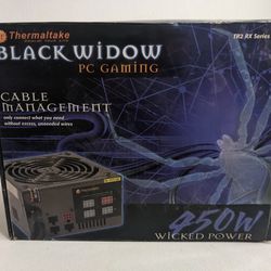 Thermaltake Black Widow TR2 RX 450W Computer Power Supply