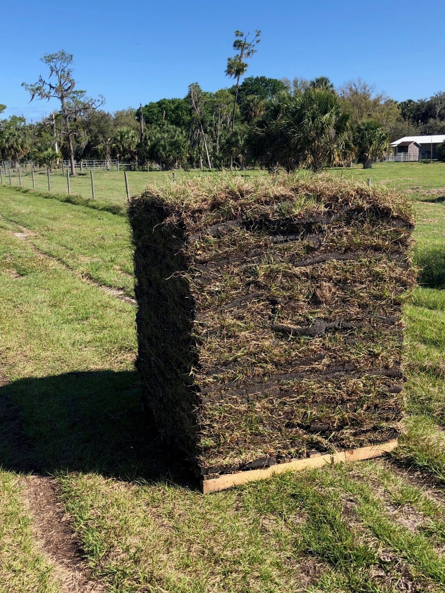 BAHIA SOD $110