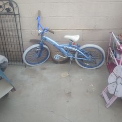 Schwinn Raider Bicycle 