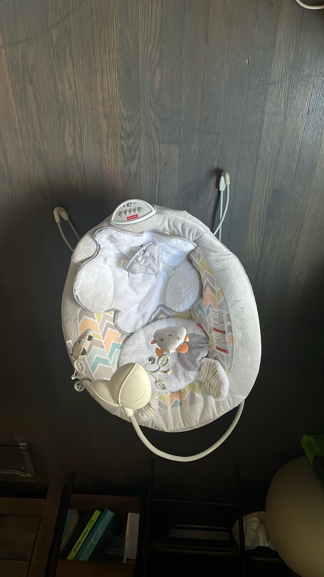 Fisher price Baby bouncer & misc