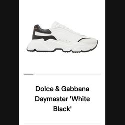 DayMaster DGs 