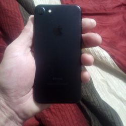 iPhone Model A1778 7s