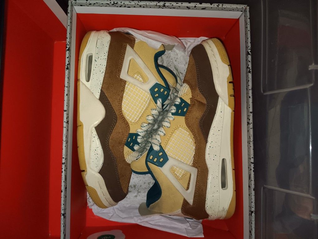 Rare Nike Jordan Shoe