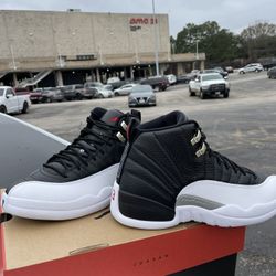 Jordan 12 