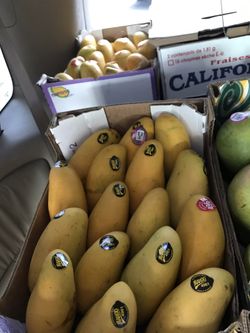Fresas y mangos