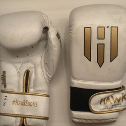 Boxing Gloves Hawk Sports