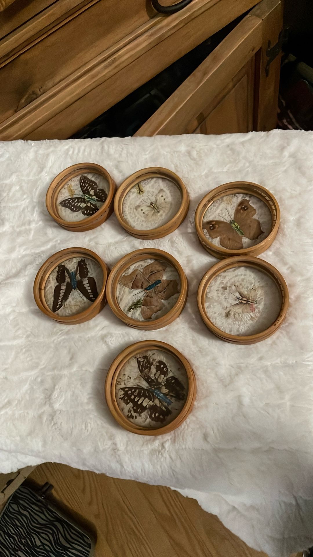 (7) Vintage Wood Butterfly Coasters