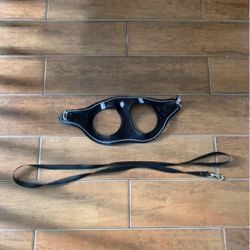 PET HARNESS AND LEASH