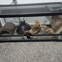 Reptile Enclosure  20 Gallon