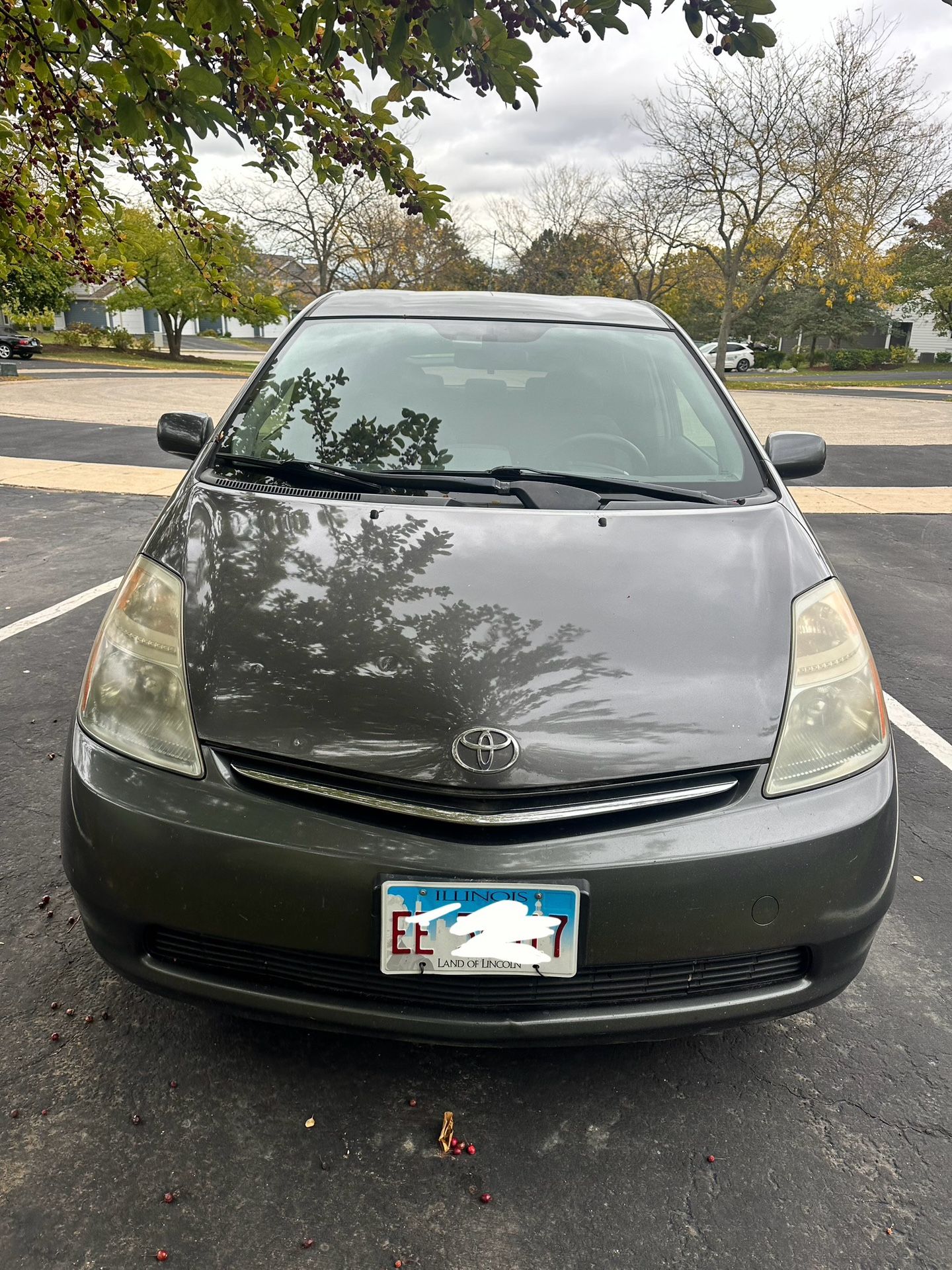 2007 Toyota Prius