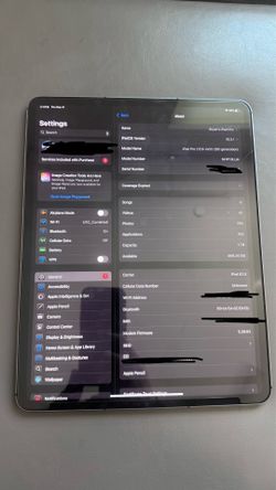 iPad Pro 12.9 1TB Cellular