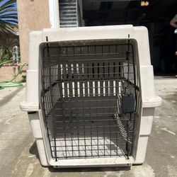 Large Dog Kennel