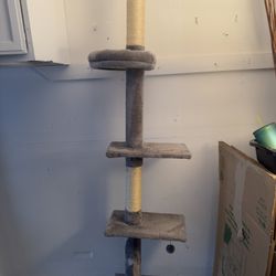 Cat Tree 85 In