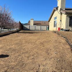 Free Dirt, Landscape