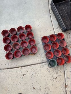 Planter grow tray 4" pots succulent garden plants