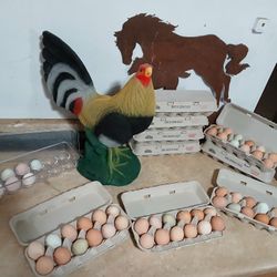Huevo Fresco/ Fresh Eggs