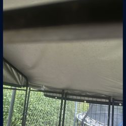 Dog Cages 