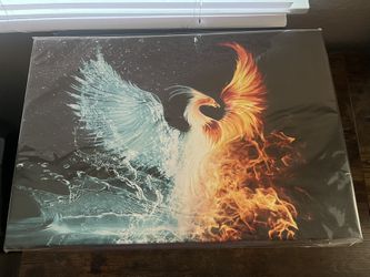 Phoenix Picture