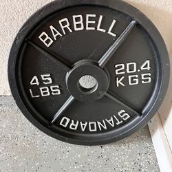 45lbs Plate 