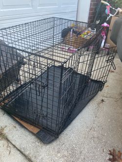 36 inch animal cage