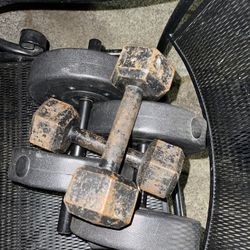 Dumbells And Bench 
