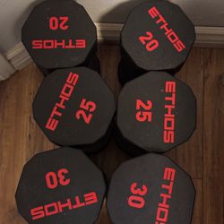 Ethos Dumbbells – 20, 25, 30 lb Pairs – Great Condition