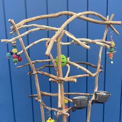 Parrot Perch Trees .., Custom Made , Hard Durable Ribbon Wood 🪵! Last For Years , Look Great ( Artsy / Rustic )