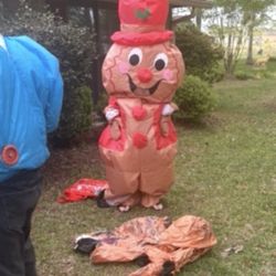 Ginger bread costume 