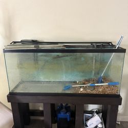 Fish Tank 